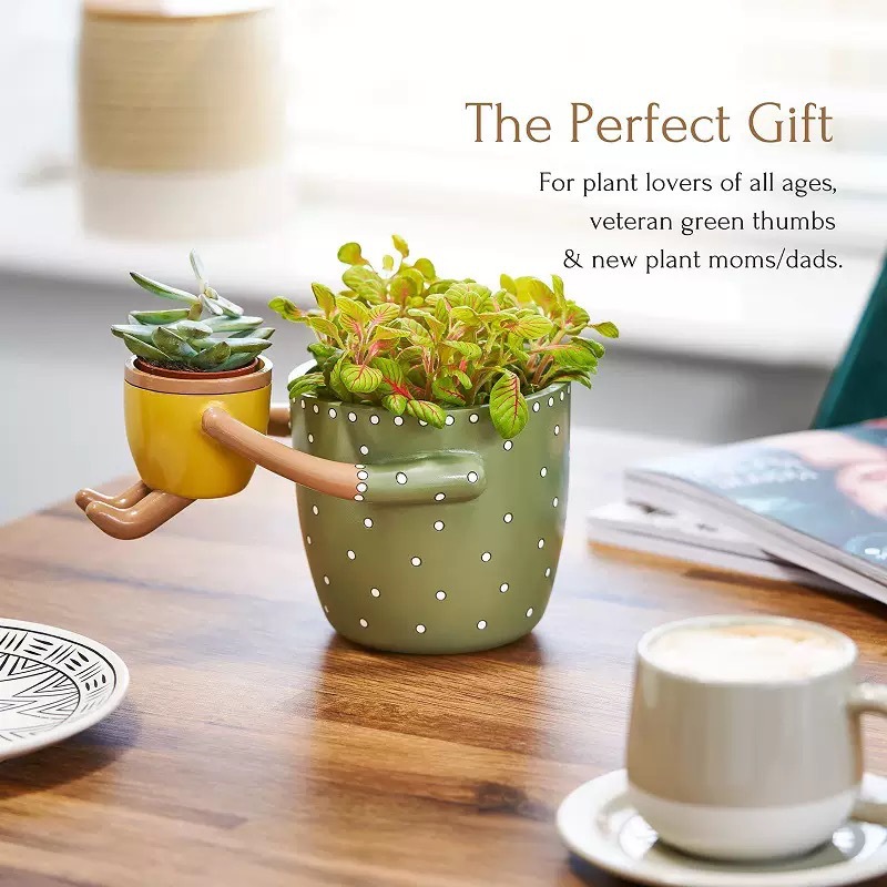Resin Parent-child Flowerpot w - Plant Parent Pot review and price