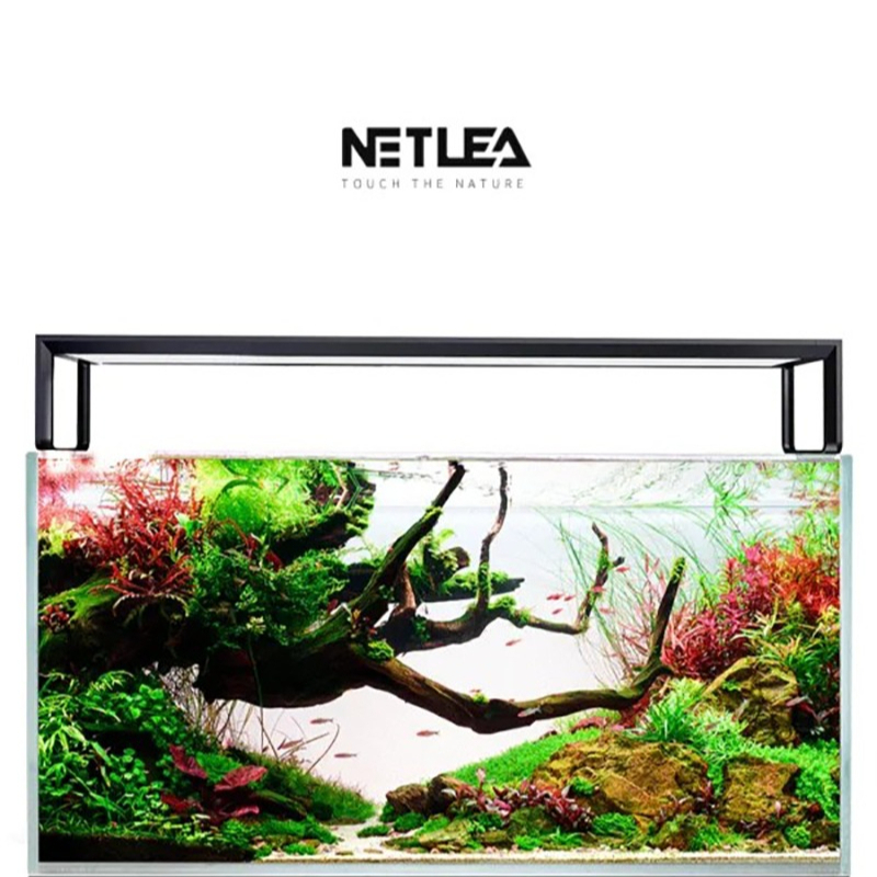 Netlea AT5S V3 Smart Wifi APP  - Plant Parent App review and price