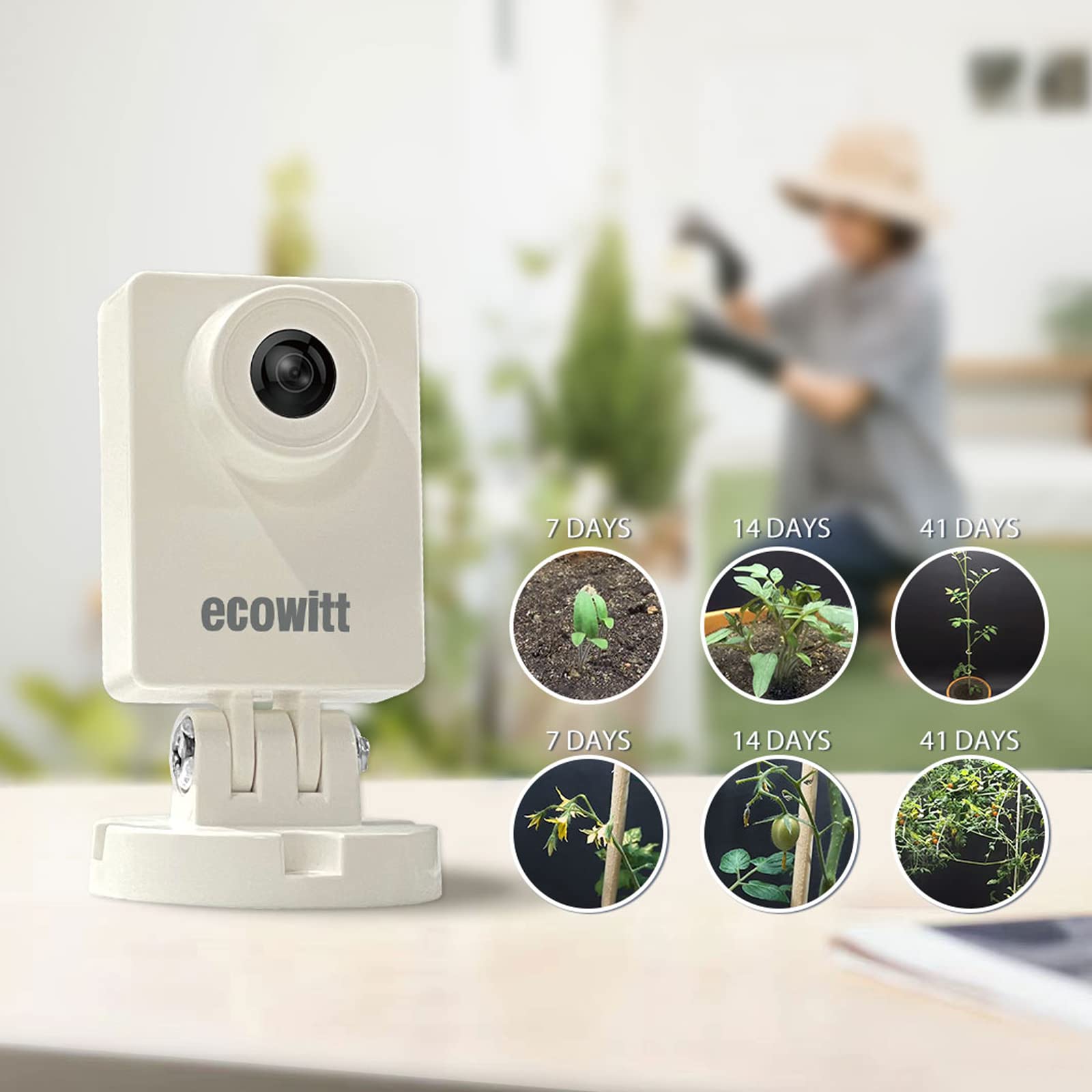 Ecowitt HP10 WittCam Outdoor W - Plant Parent App review and price