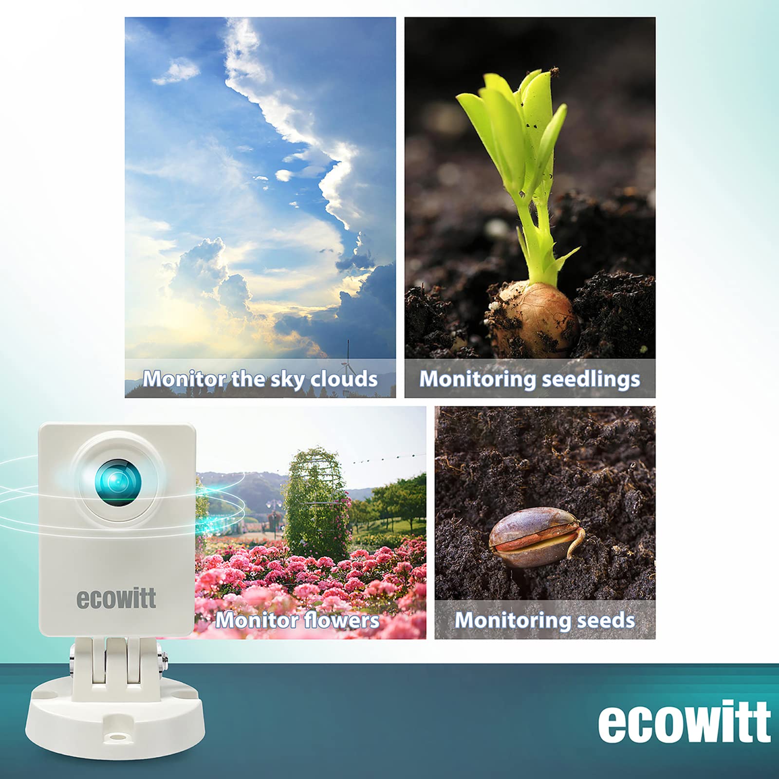 Ecowitt HP10 WittCam Outdoor W - Plant Parent App review and price