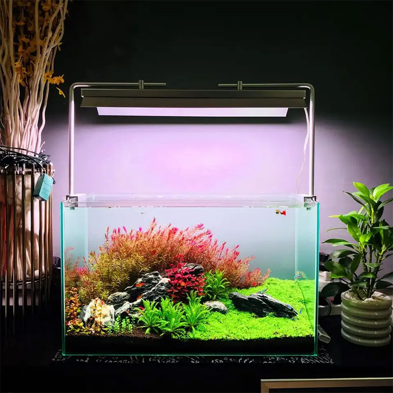 WEEK AQUA L Series, Aquarium L - Plant Parent App review and price