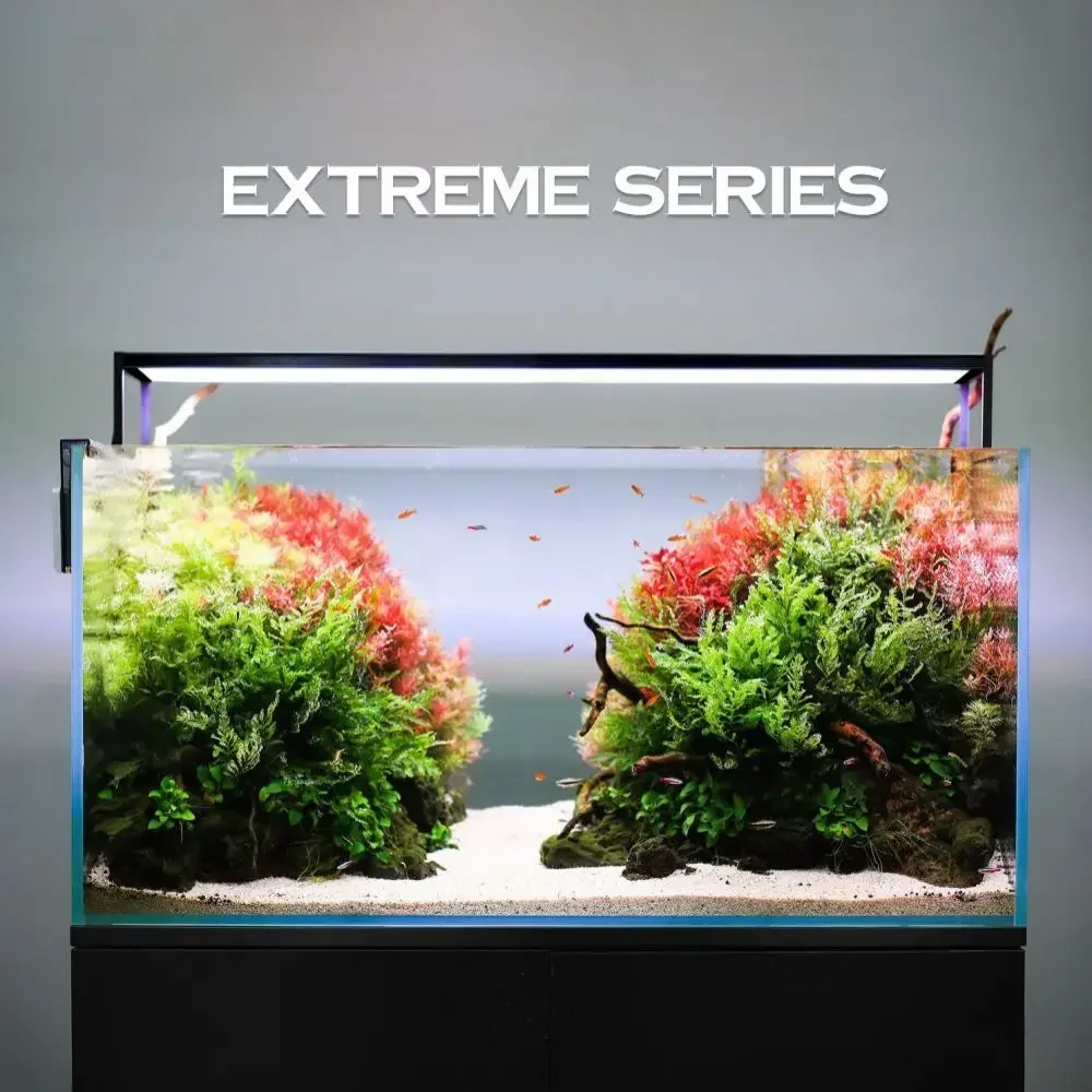 MICMOL Extreme Series II Smart - Plant Parent App review and price