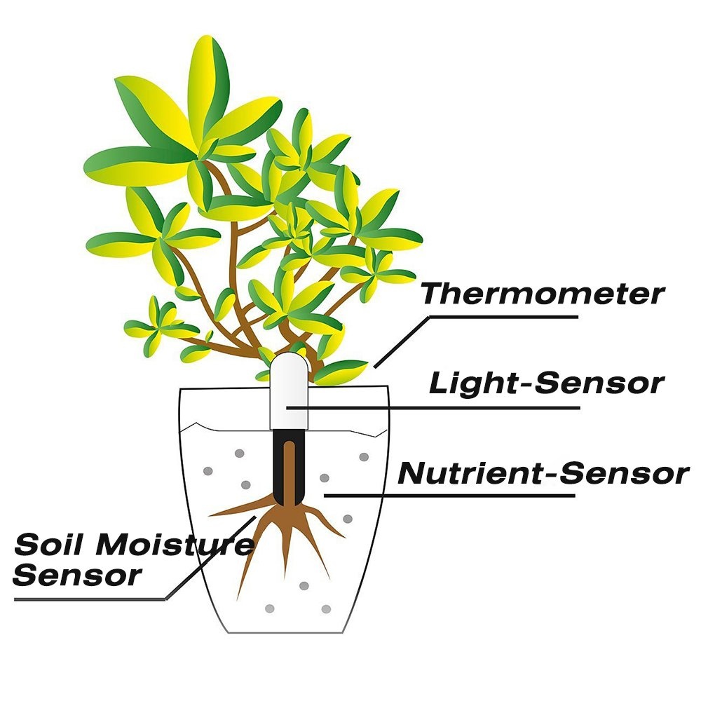 HHCC Xiaomi Flower Care Smart  - Plant Parent App review and price